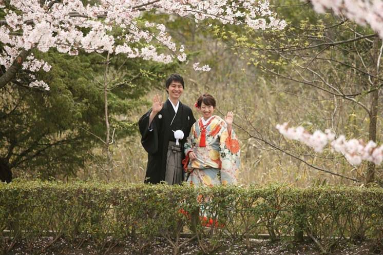 和装,前撮り,桜