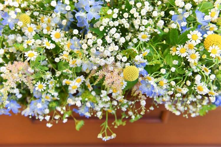 くまのプーさん 100エーカーの森 がテーマ 森のコーディネート 美花嫁図鑑 Farny ファーニー お洒落で可愛い花嫁レポが満載 Byプラコレ