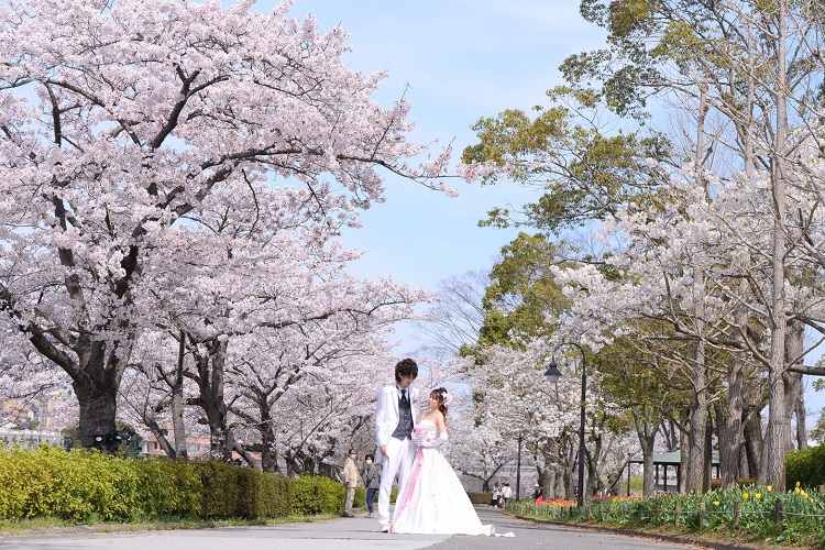 満開の桜のなかでドレス姿の前撮り♡お揃いの時計やお姫様抱っこなど