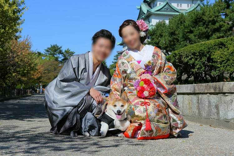 スタジオアクア,和装前撮り,愛犬と一緒に