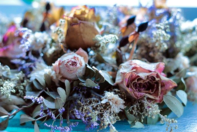 ドライフラワーの作り方やアフターブーケの魅力 美花嫁図鑑 Farny ファーニー お洒落で可愛い花嫁レポが満載 Byプラコレ ドライフラワーの作り方やアフターブーケの魅力 美花嫁図鑑 Farny ファーニー お洒落で可愛い花嫁レポが満載 Byプラコレ